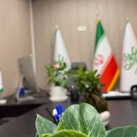 تیم فروش و محتوا و سایت و منشی با حقوق ثابت و بیمه
