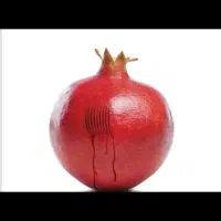 مرکز تخصصی حجامت،زالو درمانی،ماساژ،سیاتیک نمکوریها