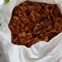 زرد الو خوشک