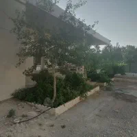 زل کفتری