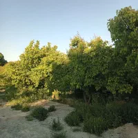 زمین-چهاردیواری-به-متراژ-1000مترمربع