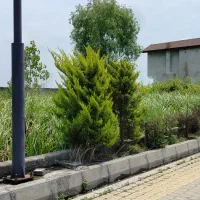 فروش-زمین-داخل-بافت-در-شهرک-برند-در-ایزدشهر