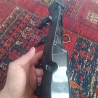 کوئل