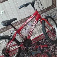 دوچرخه 20