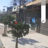 ۲۰متر روبه رو پارک