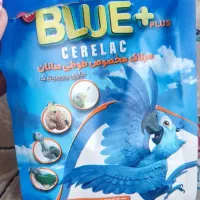 سرلاک پرنده