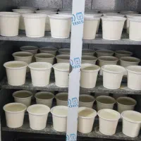 .دوغ وماست وکره عمده وتکی