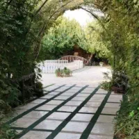 تمیز کردن و کار