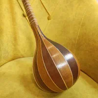 سه تار کاسه توت
