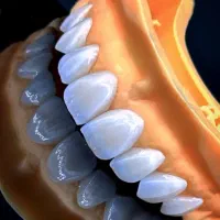 آموزش دندانسازی ( لابراتواری)