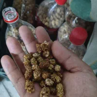 توت خشک