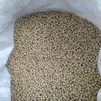 بذرسویا بهاران از مهندس خورده چی خریداری شده