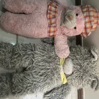 عروسک
