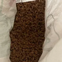 سویا سبحان