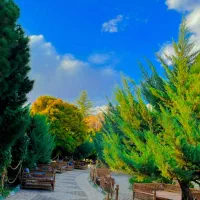 رستوران