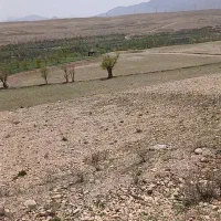 فروش-فوری-زمین