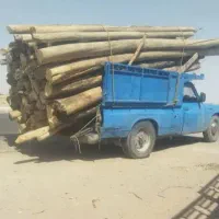 خرید درخت و چوب
