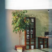 استخدام سالندار کافه گرن