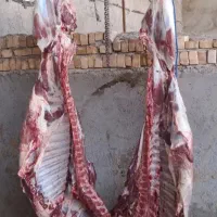 قصابی سیار درشهرستان فسا