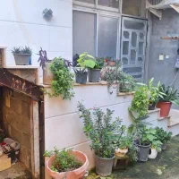 سووییت دو خواب نزدیک دریا