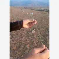 دازینگ طلا نقره