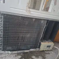 کولرالجی کاملانو