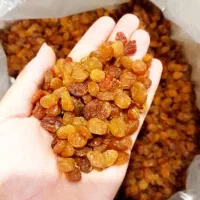 کشمش پلویی ( طلایی )   ۴۳۰/۰۰۰ سوپر لوکس/ صادراتی