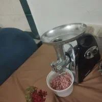 چرخ گوشت گاسونیک