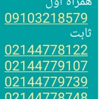 شماره تلفن09125460724