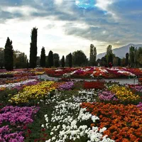 آبیاری قطره ای و اجرای فضای سبز