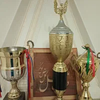 کاپ جام قهرمانی ورزشی