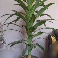 گلدان مصنوعی