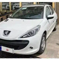 207پانا خشک 1404