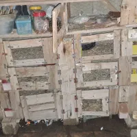 قفس،جفت گاه کبوتر