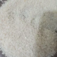 نیم دانه علی کاظمی