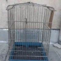 قفس طوطی