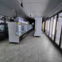 یخچال فریزر ایلیا ایستاده الکتروسرما