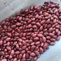 لوبیا چیتی، لوبیا قرمز، عدس روس و کانادا، لپه،نخود