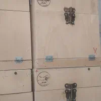 لونه برای جفت گیری پرنده