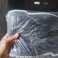 کفش پادکس