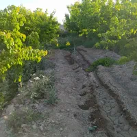زمین-و-باغچه-در-شهرستانک