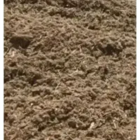 کاه کنگر