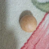 سنگ قیمتی