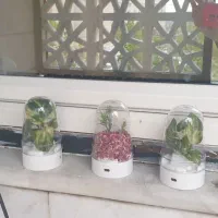 اجاره ویلامستقل باحیاط دلنشین،عباس آبادپل کاظم رود