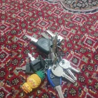 پیدا شده