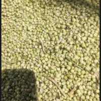 خرید گشنیز