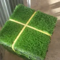 تایل چمن