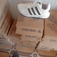 کفش نو|کیف، کفش، کمربند|کاشمر, |دیوار