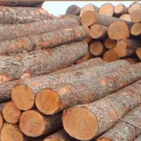کاریابی ترکیه فوری