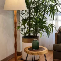 آباژور ایستاده ، شماره ۱۲۴